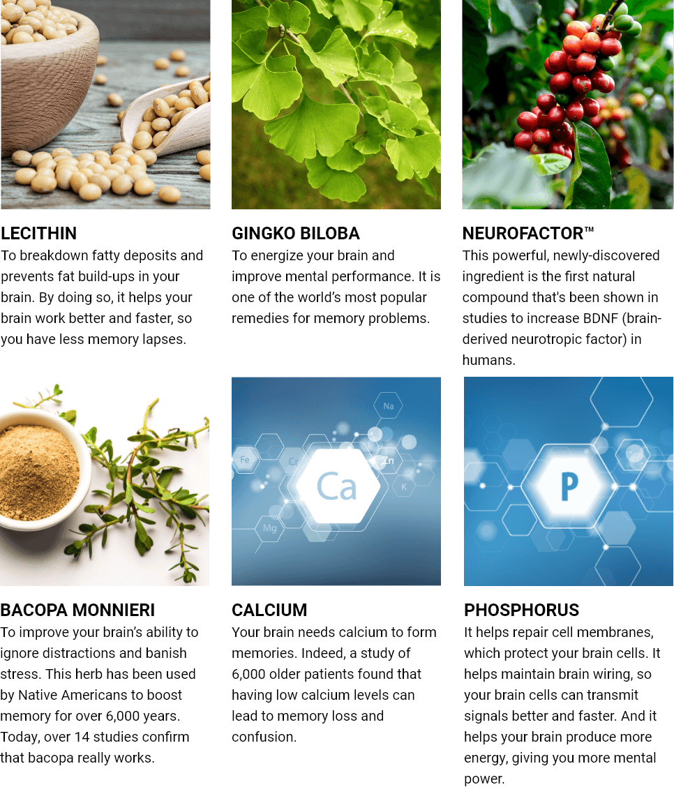 Memory Improvement Supplements Reviews