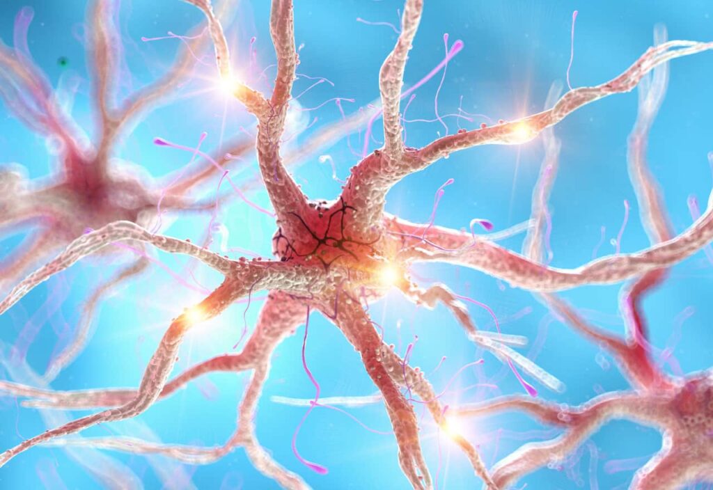 Buy Nootropics Online